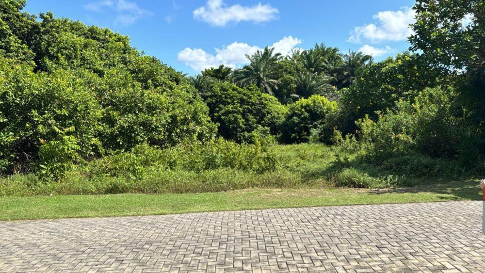 Lote - Venda - Praia do Forte - Mata de So Joo - BA