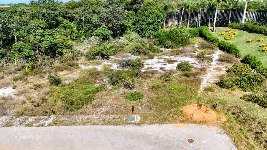 Terreno - Venda - Praia do Forte - Mata de S�o Jo�o - BA