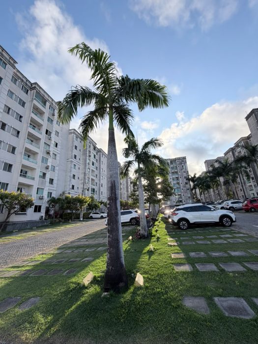 Apartamento - Venda - Buraquinho - Lauro de Freitas - BA